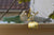 The Bunnyfish Toy